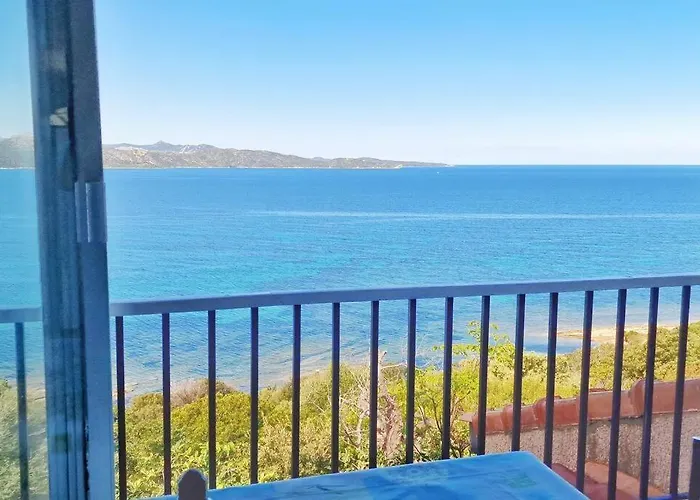 公寓 Sur La Baie De Saint Florent 帕特里莫尼奥