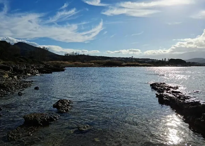 公寓 Sur La Baie De Saint Florent 帕特里莫尼奥