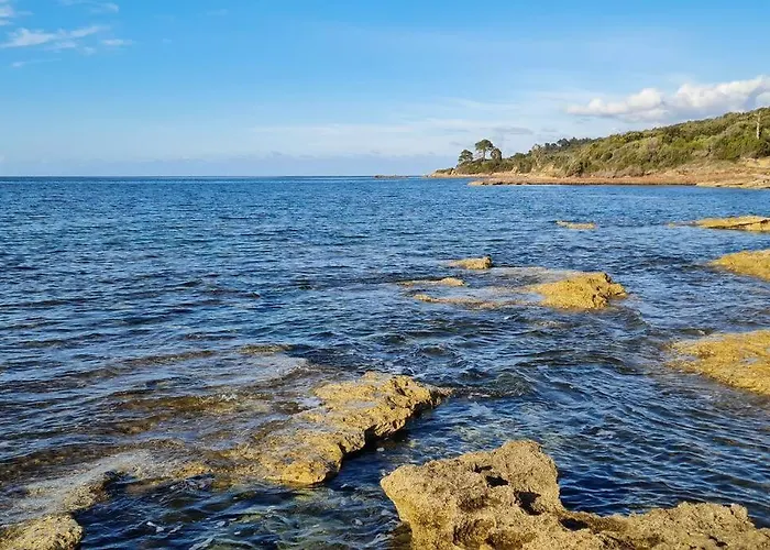 公寓 Sur La Baie De Saint Florent